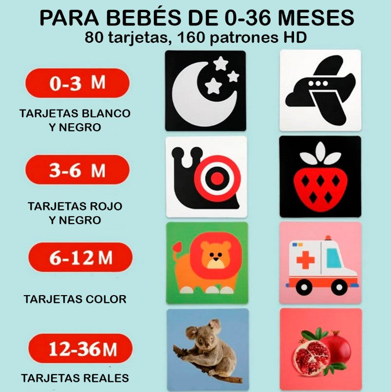 NUEVAS TARJETAS SENSORIALES MONTESSORI PARA B