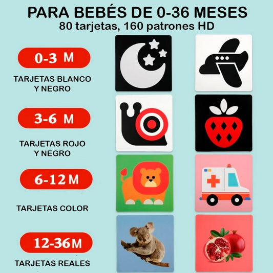 NUEVAS TARJETAS SENSORIALES MONTESSORI PARA B